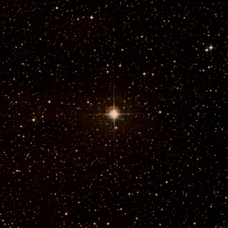 Image of HIP-42430