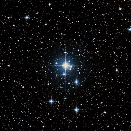 Image of 10-Mon