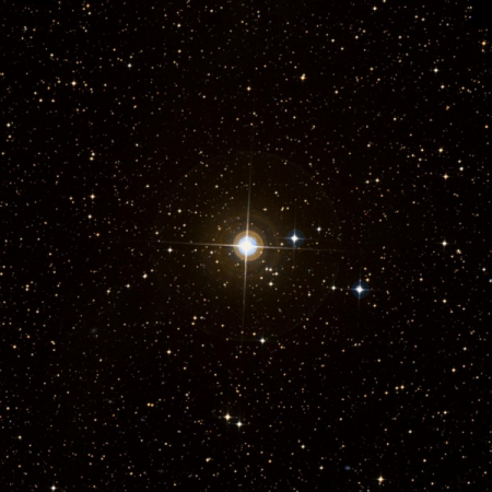 Image of HIP-40680