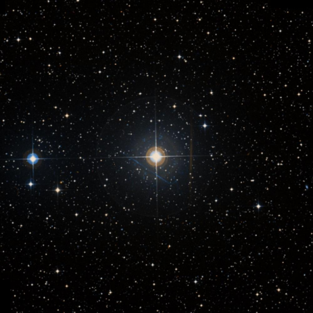 Image of &omega;-Pav