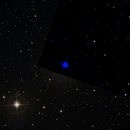 Image of &gamma;¹-Oct