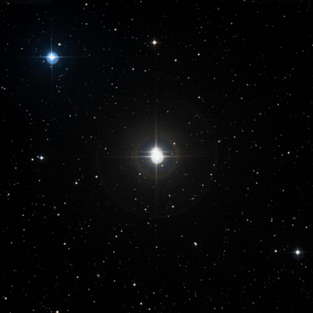 Image of Marsic