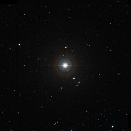 Image of c-Vir