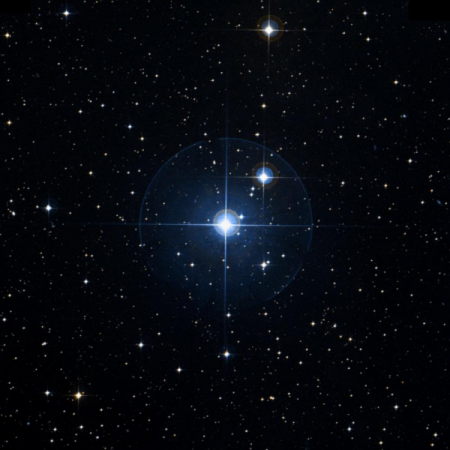 Image of Elkurud