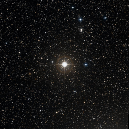 Image of T-Cyg