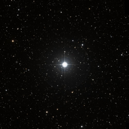 Image of TYC-2621-2683-2