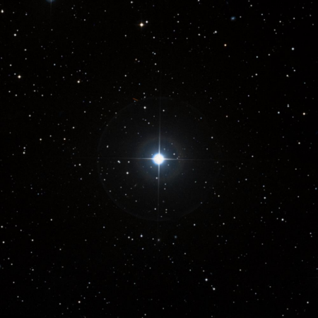Image of TZ-Tri