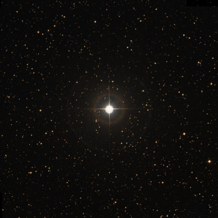 Image of n-Tau