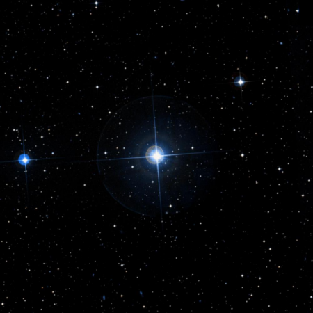 Image of &rho;-Pav