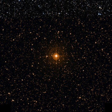 Image of w-Pup