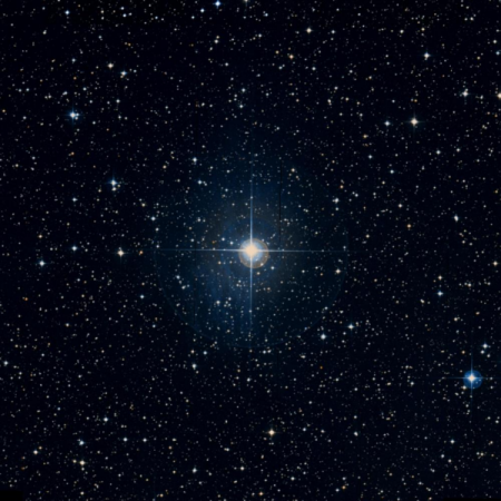 Image of HIP-36431