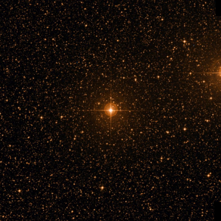 Image of &mu;-Mus