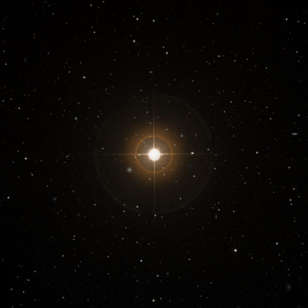Image of &rho;-Ser