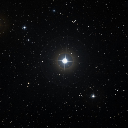 Image of Alsafi