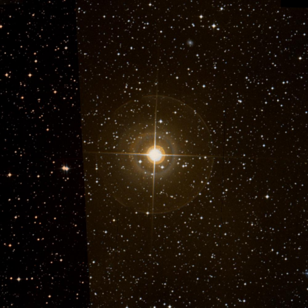 Image of L2-Pup