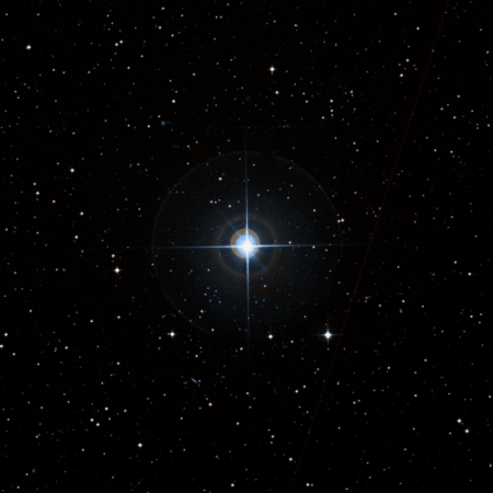 Image of &gamma;-Mic