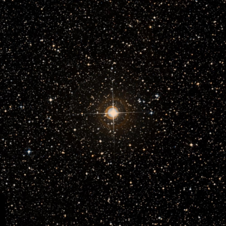 Image of HIP-36514