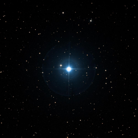 Image of Asellus-Borealis