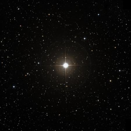 Image of &omega;-Per
