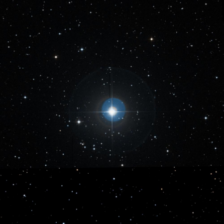 Image of Tegmine