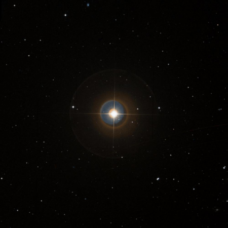 Image of 72-Leo