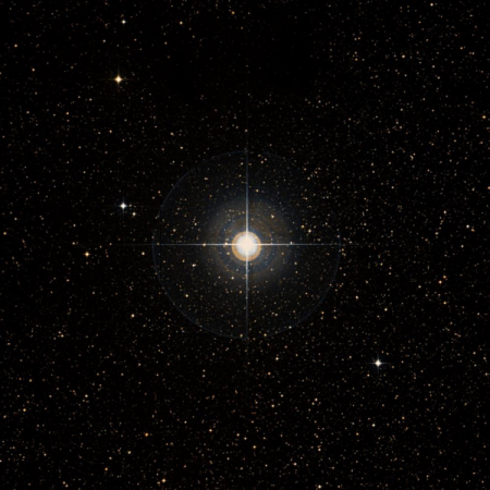 Image of &zeta;-Ser