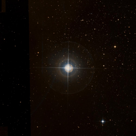 Image of O-Sco