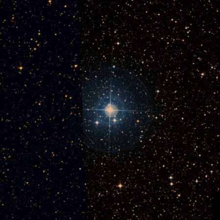 Image of k-Lup