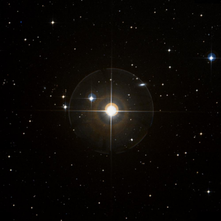 Image of &beta;-For