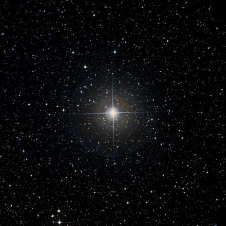 Image of O-Lup