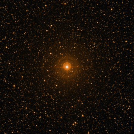 Image of ω-Lup
