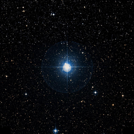 Image of &nu;-Ser