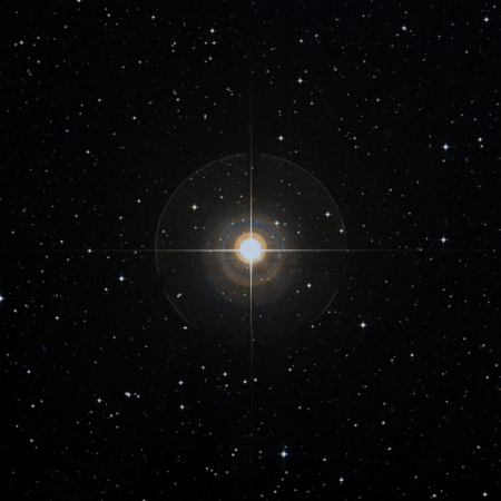 Image of &iota;-Cap