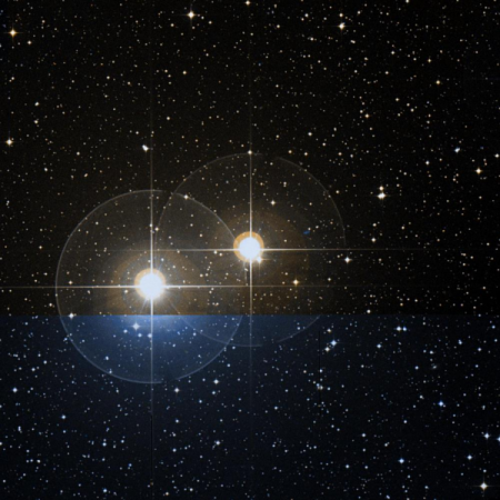 Image of &alpha;¹-Cap