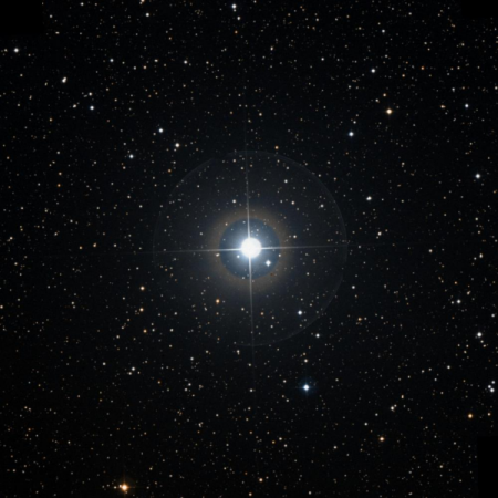 Image of &mu;-Per