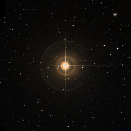 Image of Kang