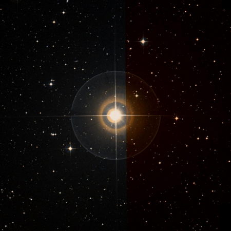 Image of Zhang