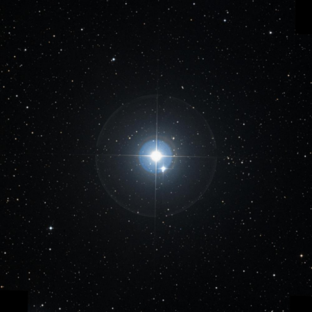 Image of &beta;-Cam
