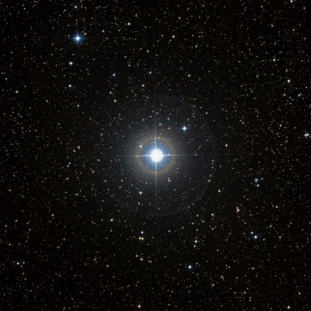 Image of 41-Cyg