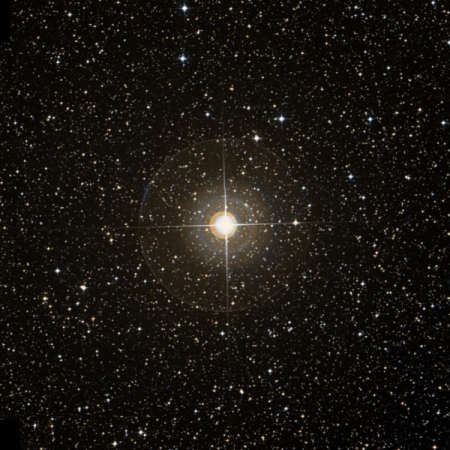 Image of β-Pyx