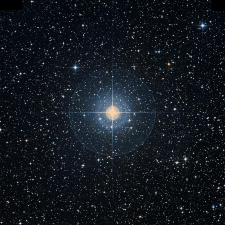 Image of l-Pup