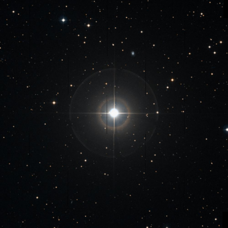 Image of Asellus-Australis