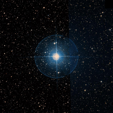 Image of Iklil