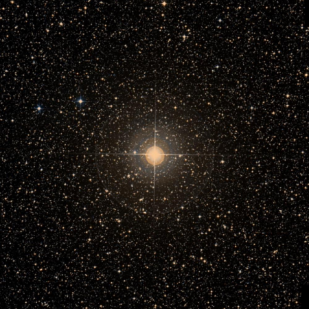 Image of &delta;-TrA