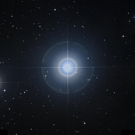 Image of Sceptrum