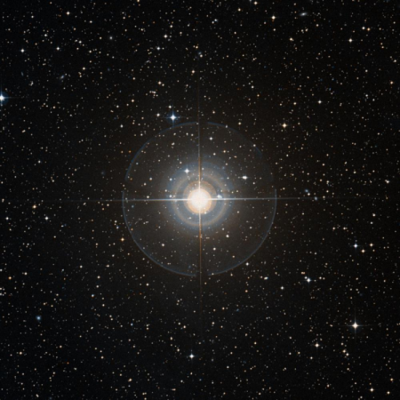 Image of &gamma;-Aps