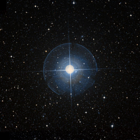 Image of &beta;-Dor