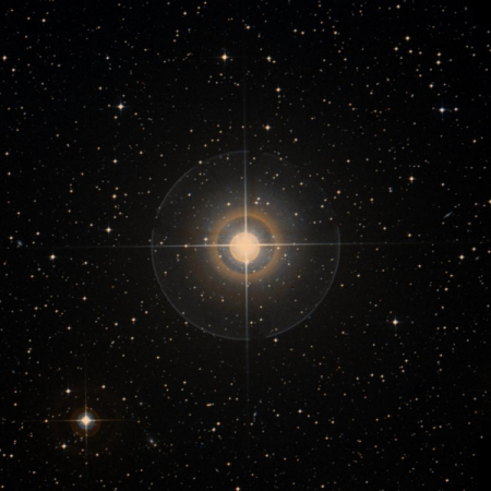 Image of &delta;-Col