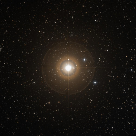 Image of Miram