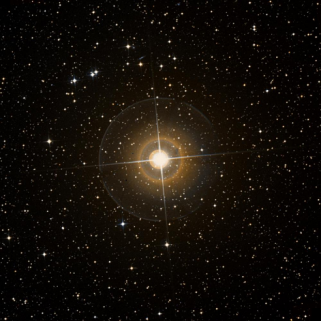 Image of &beta;-Vol